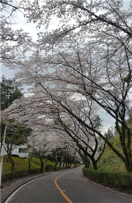 [교환학생]타쿠쇼쿠대학 박OO